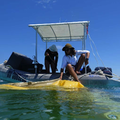 Geosciences, climate and marine science