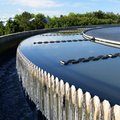 Chemical, biomolecular and environmental engineering